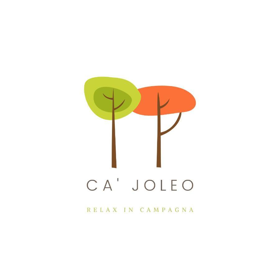 Ca'Joleo - Relax In Campagna Del Lago Di Garda San Giorgio in Salici Екстер'єр фото